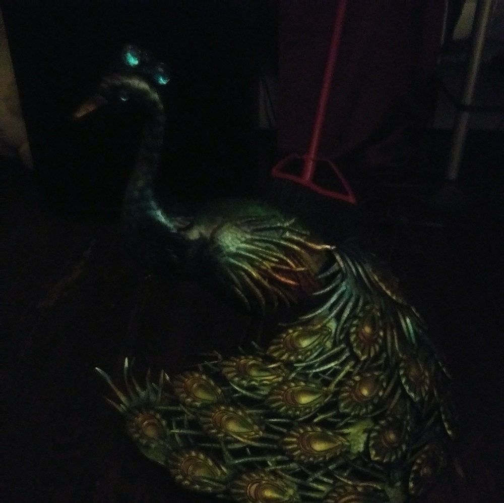 Peacock